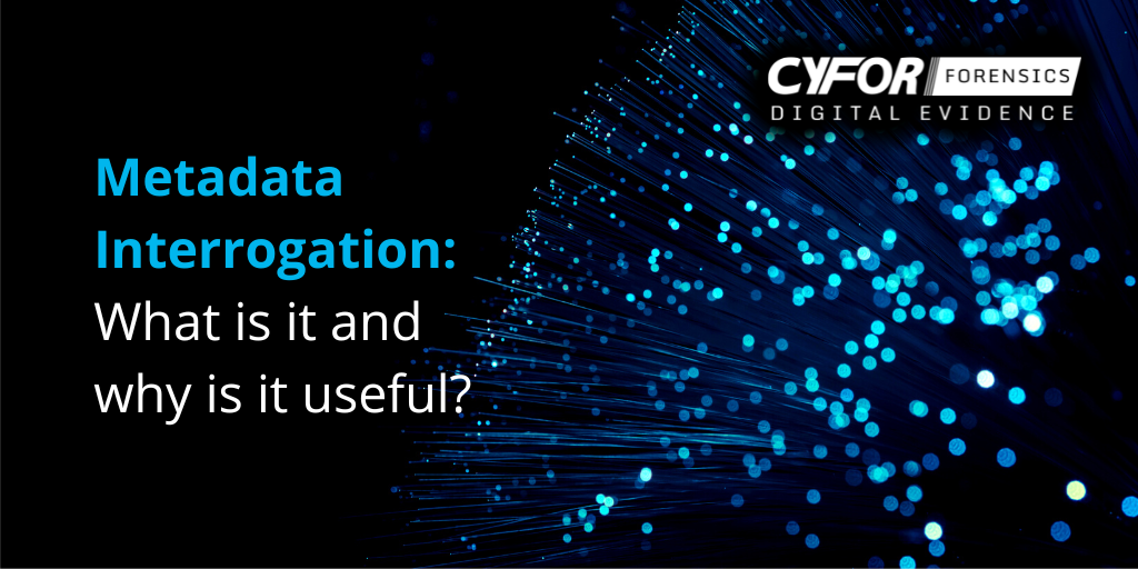 Metadata Interrogation